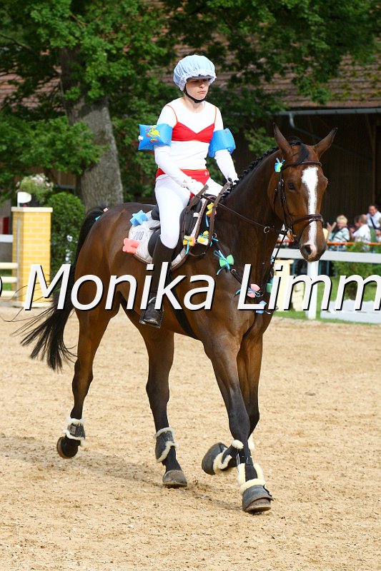 006M6050_Stil A_CD.JPG